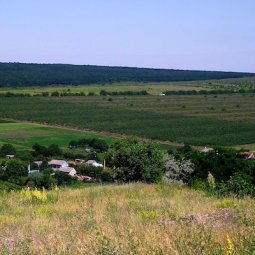 Moldavie : au défi de la désertification rurale et de la déprise agricole