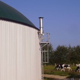 Énergies : en Macédoine, une centrale biogaz sort de terre