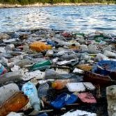 Croatie : terrible pollution sur le littoral de l'île de Mljet