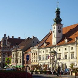 Élections municipales en Slovénie : l'expérience inaboutie de Maribor