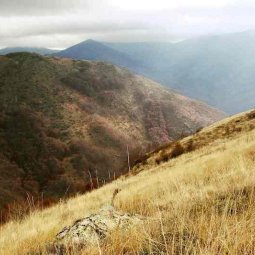 Macédoine du Nord : ces mini-centrales qui détruisent la montagne du Shar