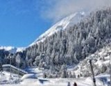 #SavePirin : en Bulgarie, or blanc, blanchiment d'argent et « pieuvre verte »