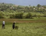 Albanie : les terres agricoles les plus chères d'Europe ?