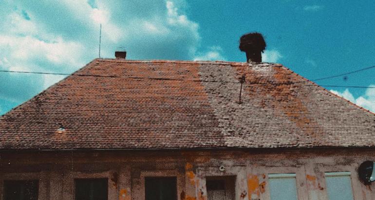 Blog • Bus de campagne