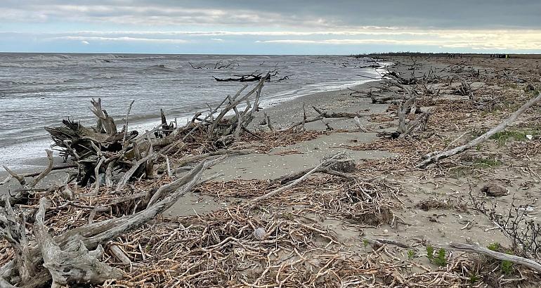 Sables, vents et ciment : le littoral roumain au défi de l'érosion