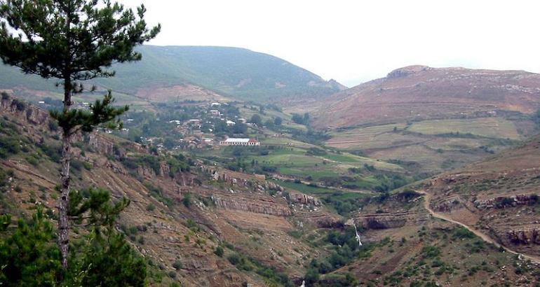 Albanie : à Korça, le déboisement illégal ravage les forêts