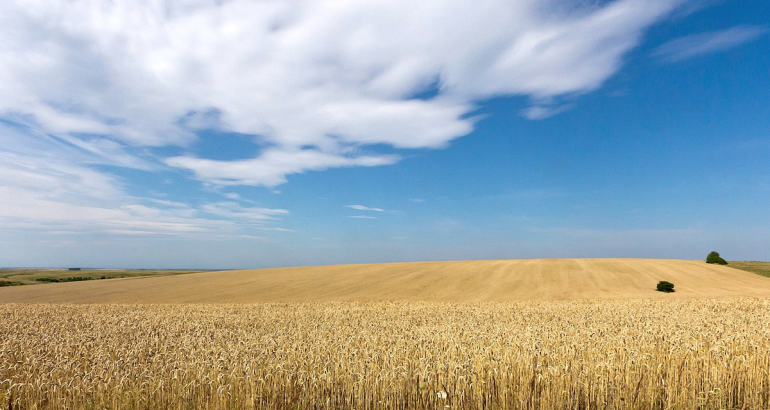 Bulgarie : les agriculteurs contre la réouverture des importations de céréales ukrainiennes