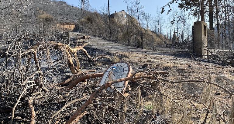 Incendies historiques dans le nord-est de la Grèce : le désespoir de l'Evros