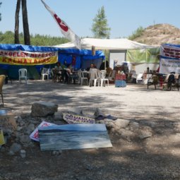 Turquie : résistance villageoise contre la destruction de la forêt d'Akbelen