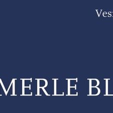Roman • Le Merle Bleu