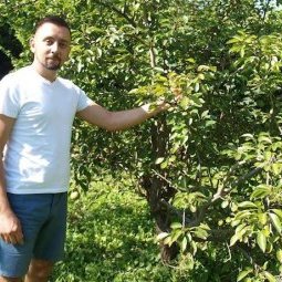 Bosnie-Herzégovine : « l'agriculture sans pesticides, c'est possible ! »