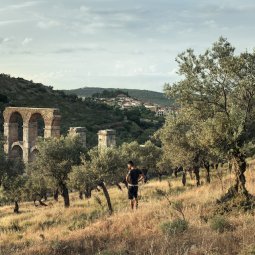 Grèce : « les Chants de l'Asphodèle », un voyage dans l'intimité de l'île de Lesbos