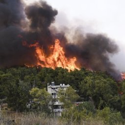 Grèce : le feu ne se calme pas, la colère monte