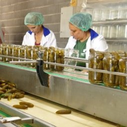 Agriculture au Kosovo (2/3) : des initiatives locales qui fonctionnent