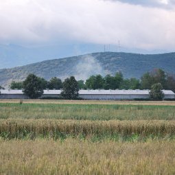 La Macédoine du Nord, bientôt un désert agricole ?