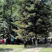 Macédoine : à Skopje, les habitants de Čair s'unissent pour défendre les espaces verts