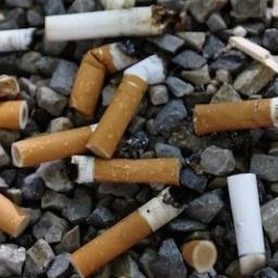 Fumer, boire et stresser : la santé des Serbes en danger