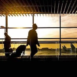 Roumanie : quand la pandémie fait revenir la diaspora au pays