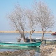 Blog • Grandeur et décadence du delta danubien : récit d'une excursion à Sulina