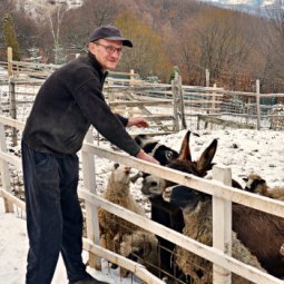 Bosnie-Herzégovine : l'arche d'Amer, refuge pour animaux abandonnés