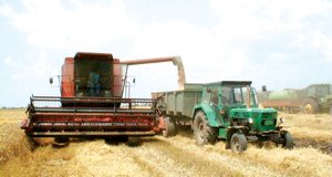 Voïvodine : les oligarques, nouveaux grands propriétaires fonciers
