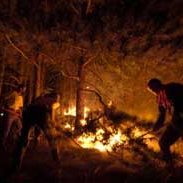 Macédoine : brûler l'arbre qui cache la forêt