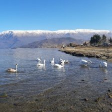 Entre Albanie et Macédoine du Nord, l'hiver suspendu du lac d'Ohrid