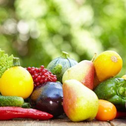 Dans les Balkans : à l'école de la malbouffe ?