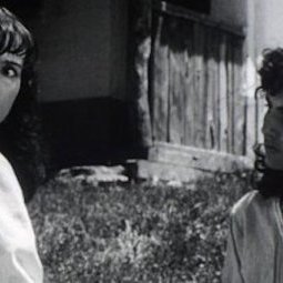 Cinéma et érotisme : quand la Yougoslavie était plus libérée qu'Hollywood
