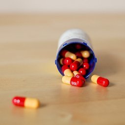Santé : au Kosovo, les antibiotiques, c'est bien trop automatique