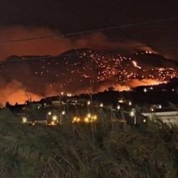 Changement climatique : un nouvel incendie ravage la Grèce, deux morts