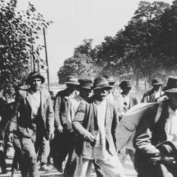 Génocide des Roms en Croatie (1/2) : « La peur de la discrimination est toujours là »
