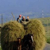 Roumanie : la grande misère du monde rural