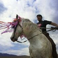 Bulgarie : Todorovden, la Pâques des chevaux 