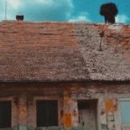 Blog • Bus de campagne