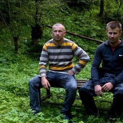 Déforestation en Roumanie : la justice cible un lanceur d'alerte