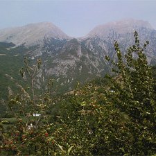 Environnement : l'exploitation illégale dévaste les forêts d'Albanie