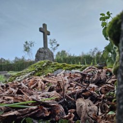 Croatie : le « cimetière des fous » d'Oranice tombe dans l'oubli