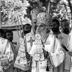 Affaire Stepinac : le patriarche serbe Irinej écrit au pape François