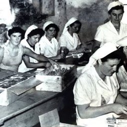Croatie : mémoires ouvrières des femmes des conserveries de Cres et de Mali Lošinj