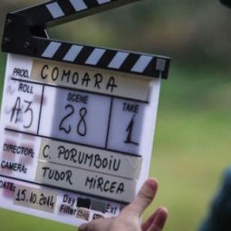 Cinéma : deux films roumains sélectionnés au Festival de Cannes