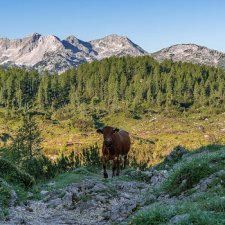 Slovénie : le parc national du Triglav célèbre son centenaire