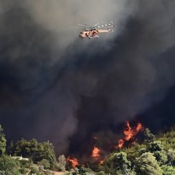 Grèce : les incendies sont sous contrôle, mais la colère est grande