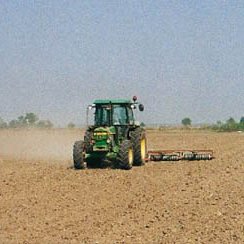 Roumanie : la crise fauchera le secteur agricole en septembre