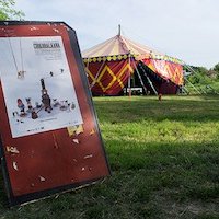 Cirkobalkana à Belgrade : qu'est-ce que c'est que ce cirque ?