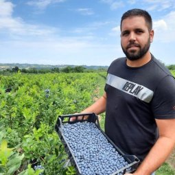 Serbie : la myrtille, nouvel « or bleu-noir » de la Šumadija