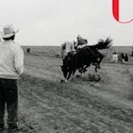 Exposition photo : « I konje ubijaju, zar ne ?