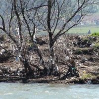 Environnement en Bosnie : sous la neige, les ordures