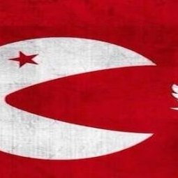 Turquie : le gouvernement censure Twitter à une semaine des élections municipales