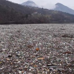 Pollution : une marée de déchets envahit la Drina 
